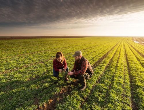 Μέχρι 42.500 ευρώ μπορεί να φθάνει το πριμ Νέων Αγροτών στην προκήρυξη του 2023, προσοχή στις δηλώσεις ΟΣΔΕ
